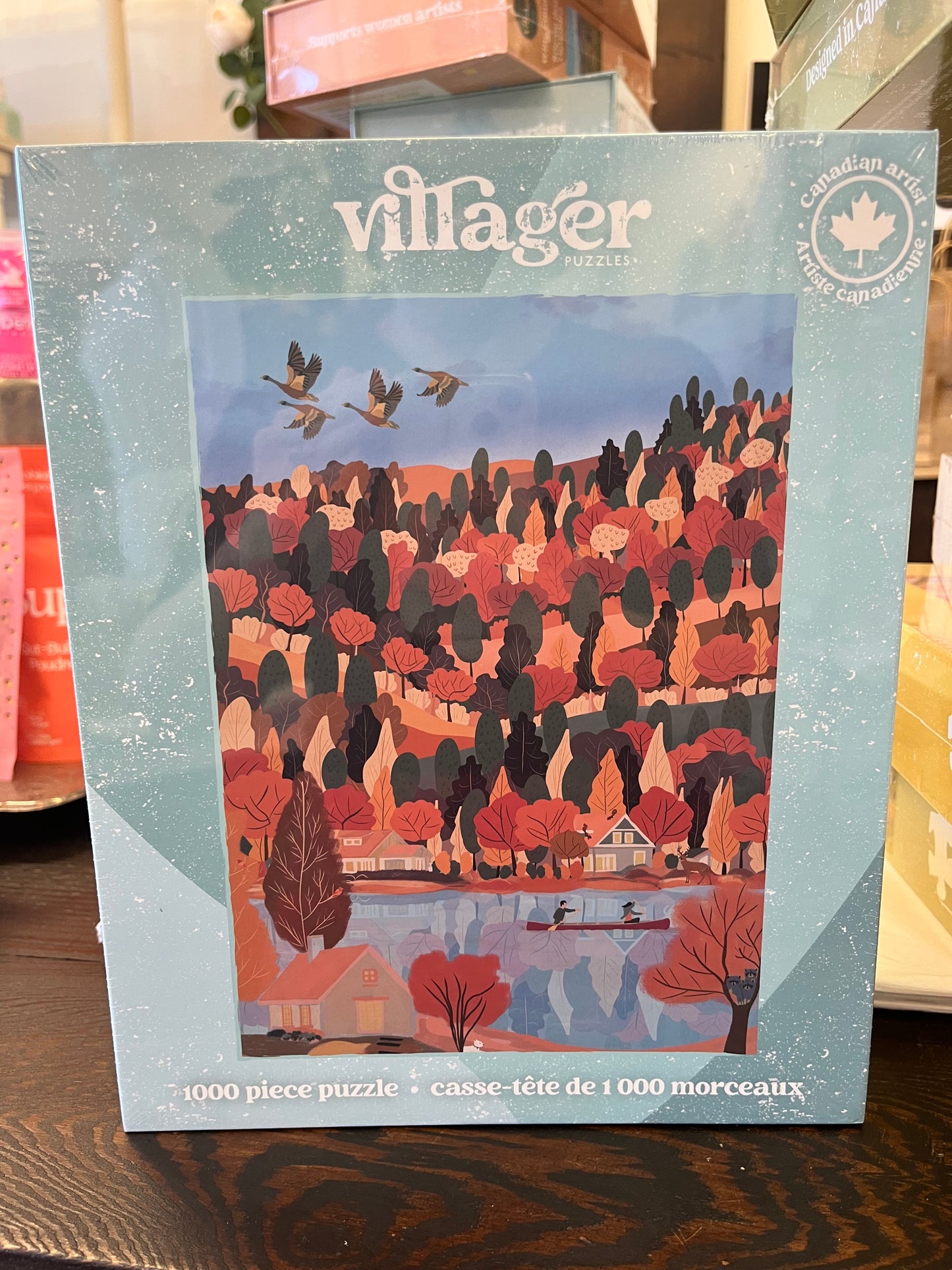 Villager Puzzles Changing Seasons