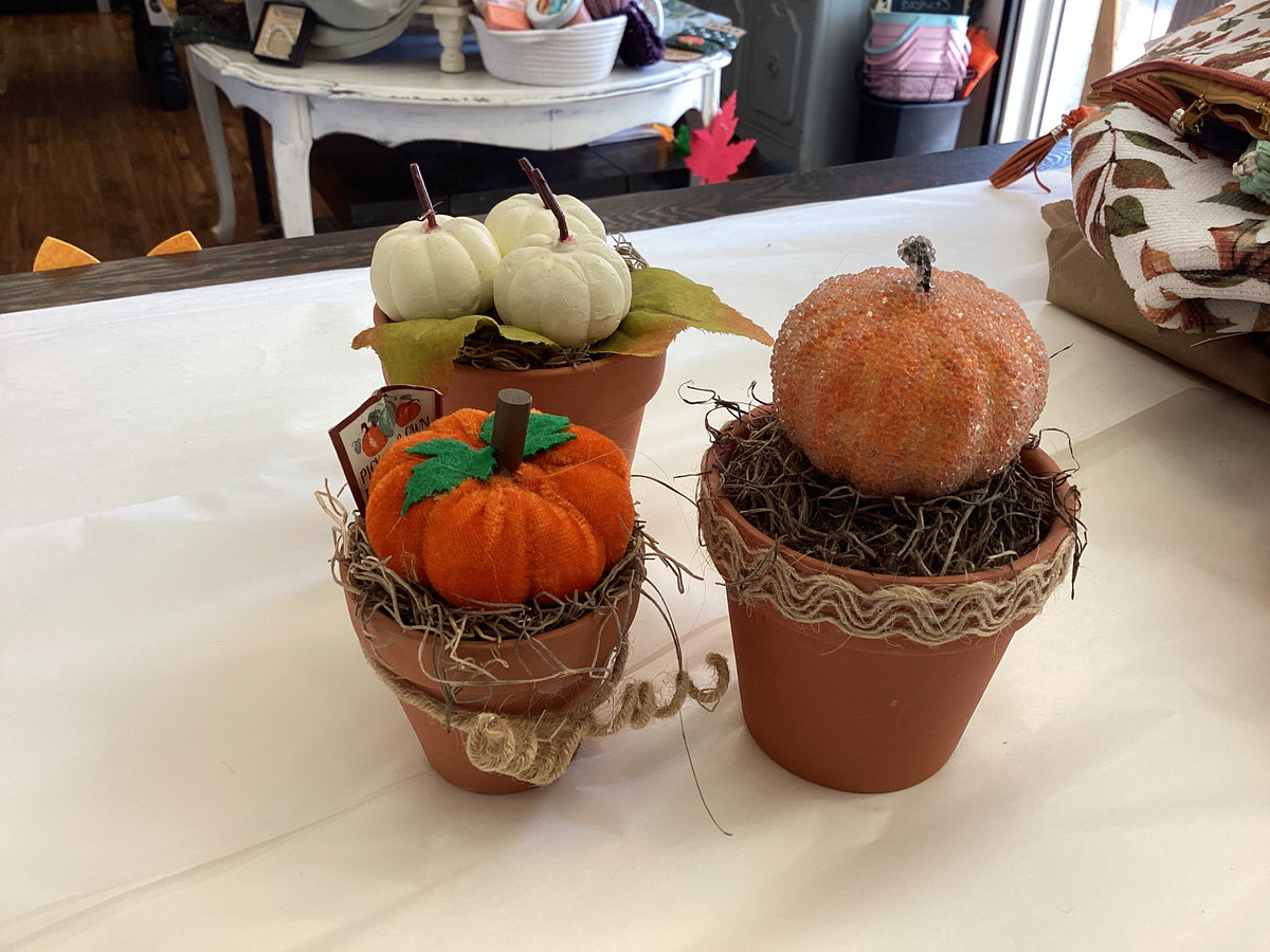 Dipsy doodle Designz~ terracotta pumpkin pots