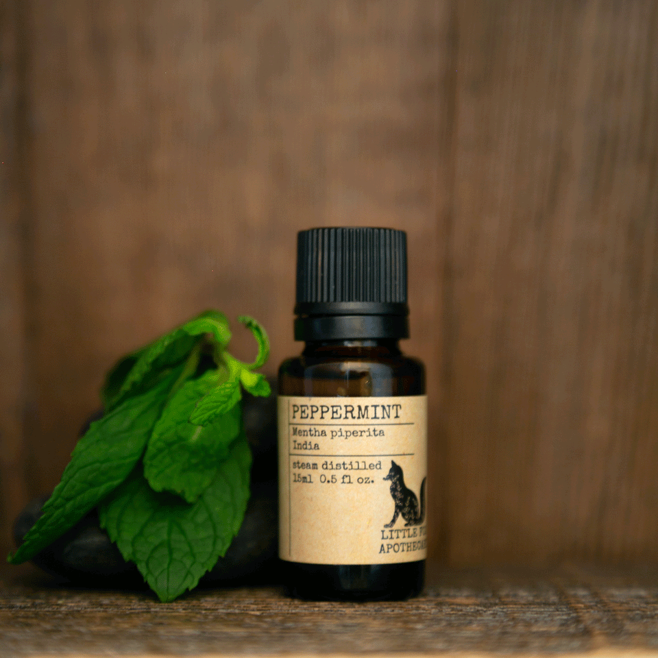Little Fox Apothecary - Peppermint Essential Oil