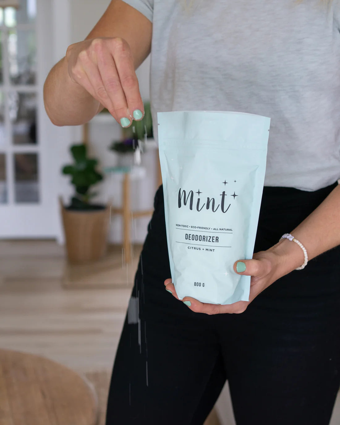 Mint Cleaning - Deodorizer