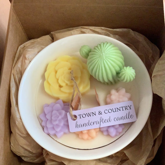Town & Country Hand Crafted Candles Assorted cactus Designs