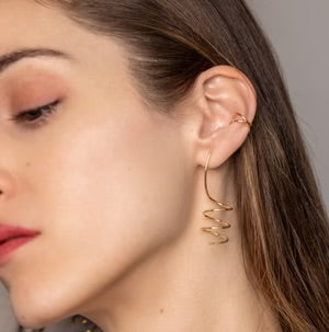 Standout Boutique - Spiral Earrings