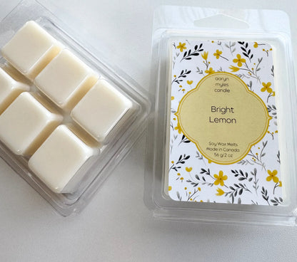 Aaryn Myles Candle- Soy Wax Melts