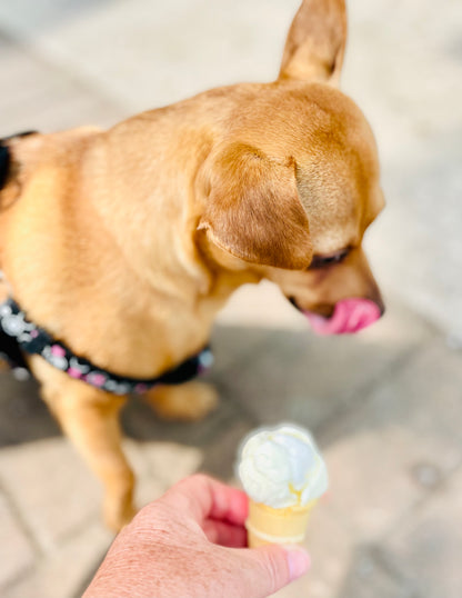 Teaspoon Memories - Fur Baby Humour