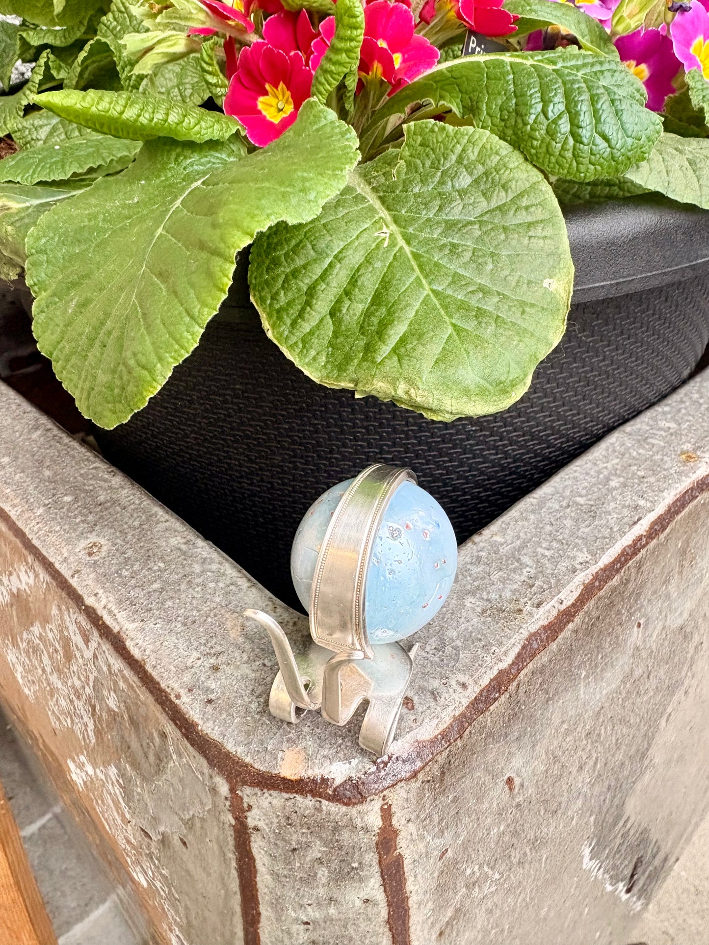 Teaspoon memories ~Shanty the snail