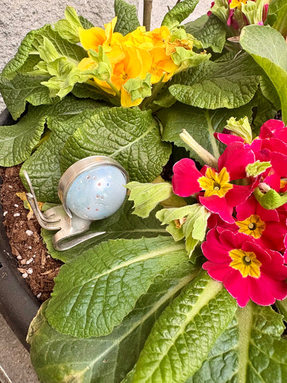 Teaspoon memories ~Shanty the snail