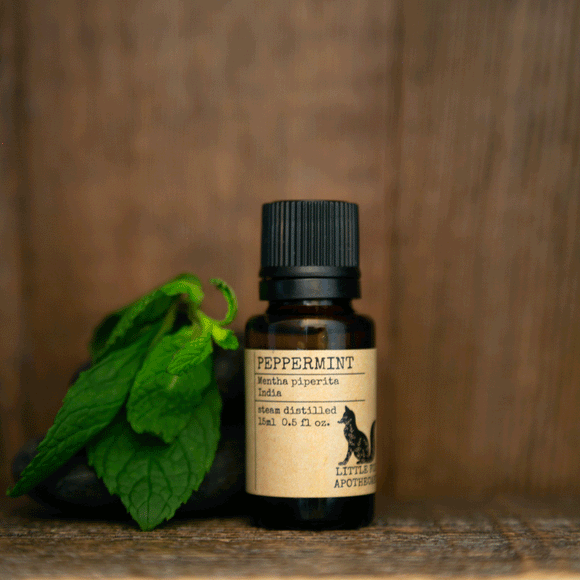 Little Fox Apothecary - Peppermint Essential Oil