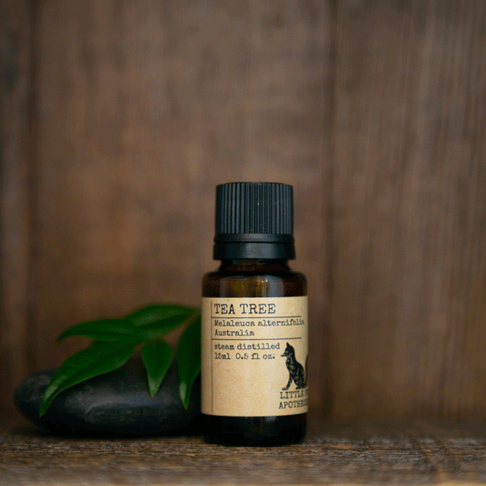 Little Fox Apothecary - Tea Tree Essential Oil