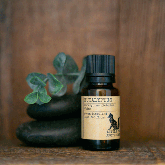 Little Fox Apothecary - Eucalyptus Essential Oil