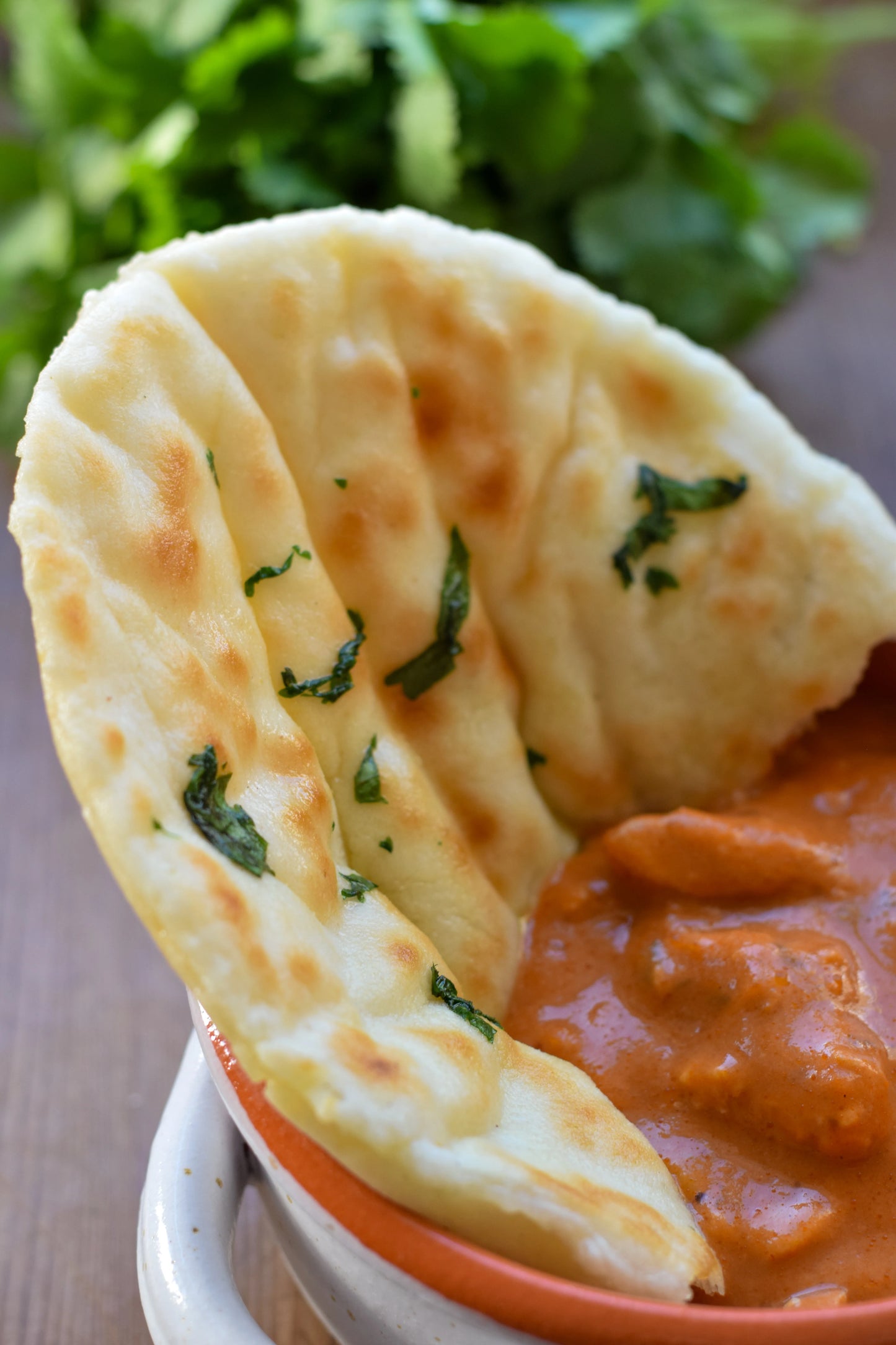 Gusto- Gluten free Flatbread & Naan mix