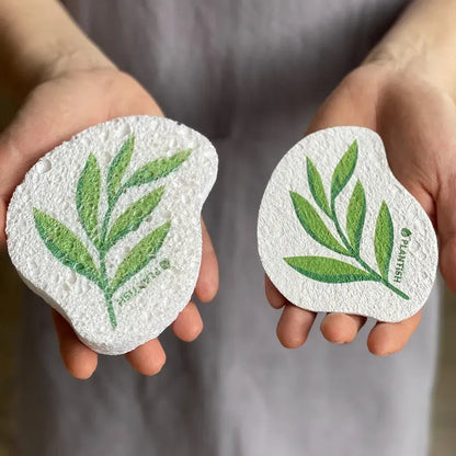 Plantish - Solid Dish Soap Pop Up Sponge Bundle