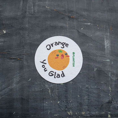 Plantish - Pep Talk Pop Up Sponges - Assorted