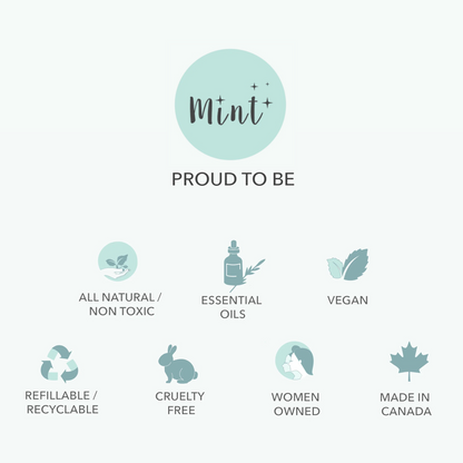Mint Cleaning - Cleaning Scrub